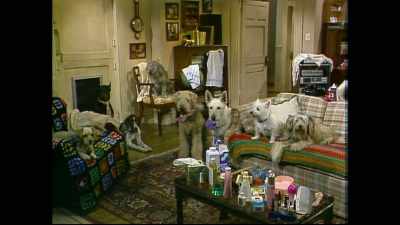 [knock on door] - Punky Brewster
