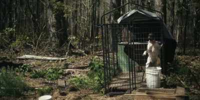 Knocked her down the stairs
narrative. - Low Country: The Murdaugh Dynasty