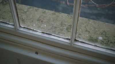 (knocking on window) - The Deceived