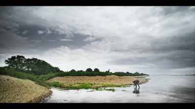 (knocking oysters) - The Third Day