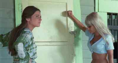 (knocking) - Angels' Wild Women