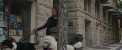 [knocks on door] - A Dog's Journey