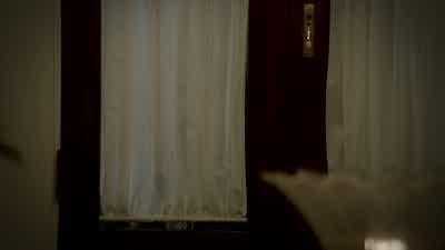 Oh, what the hell, Josh? - The Originals