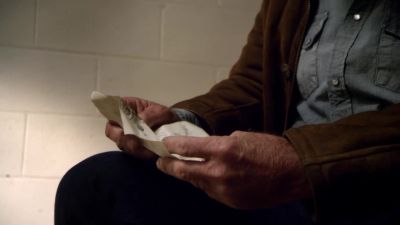 "Know when to fight
and when to seek peace. - Longmire