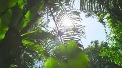 Knowing how to find food
comes naturally to some. - The Secret Lives of Animals