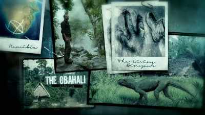 KNOWN LOCALLY AS THE GBAHALI, - Expedition Mungo