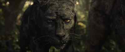 Knuckles, you came back. - Mowgli: Legend of the Jungle