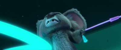[koala grunting] - Hitpig!