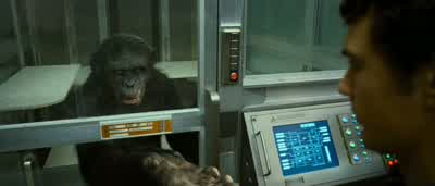 Koba. Hi, I'm Will. - Rise of the Planet of the Apes
