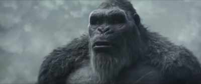 [Kong growls] - Godzilla x Kong: The New Empire