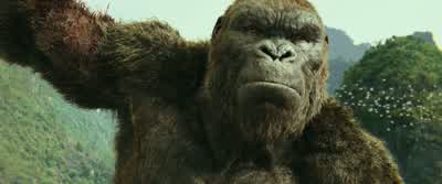 Kong's a pretty good kingKeeps to himself mostlyThis is his home We're just guests hereBut you don't go into someone's house and start dropping bombsunless you're picking a fight - Kong: Skull Island