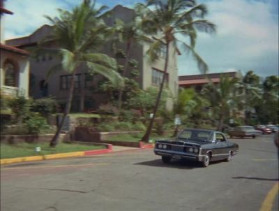 KONO,
WHAT'S GOING ON WITH MOOSE? - Hawaii Five-0