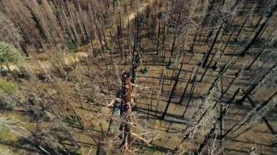 KRISTEN: 2020 was the biggest
fire season on record - Bring Your Own Brigade