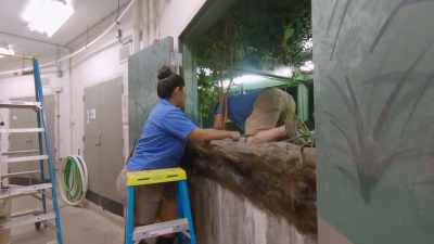 Kristen: Definitely not
the risk you wanna take - Secrets of the Zoo