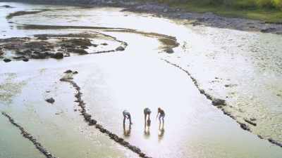 KRISTEN: In a community
this small, - Restaurants at the End of the World