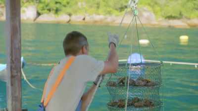 KRISTEN: Scallops can take
up to seven months to grow - Restaurants at the End of the World
