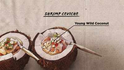 KRISTEN: We'll chop it
up with the young coconuts - Restaurants at the End of the World