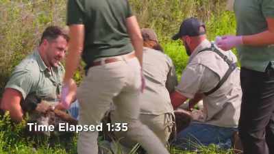 Krystin is gonna get blood, - Secrets of the Zoo