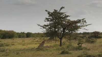 Kuleta stays on high alert, - Chasing the Rains