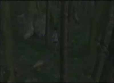 KVCR Channel Eight. - Fish Piss