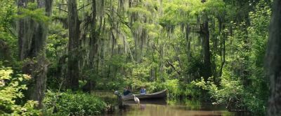 Kya. Look at that. - Where the Crawdads Sing