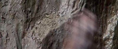 L do not think you realise the gravity of your situation - Star Trek V: The Final Frontier