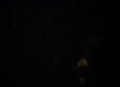 L don't know if it's really him. - The Blair Witch Project