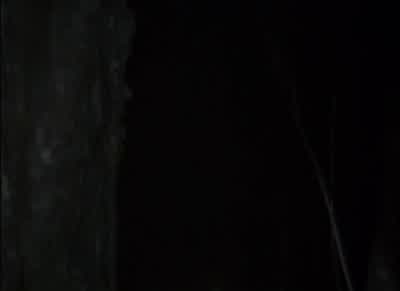 I think it's just a deer. - The Blair Witch Project