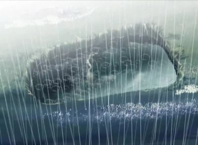 L want to be hit by the rain - Voices of a Distant Star
