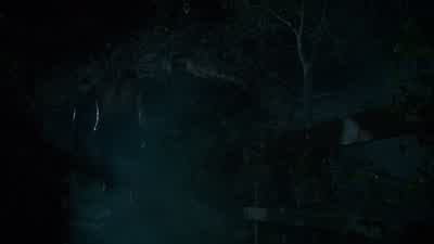La Bete Du Gevaudan! - Teen Wolf