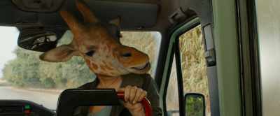 - La giraffa !
- Eh ? - Falla girare