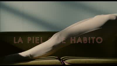 LA PIEL EN QUE HABITO - The Skin I Live In
