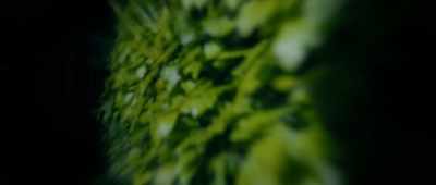 (Lacerta breathing heavily)
(leaves rustling) - Alien Invasion