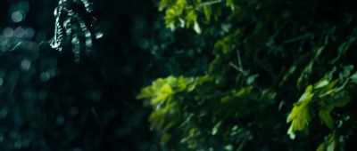 (Lacerta roaring)
(blows thudding) - Alien Invasion