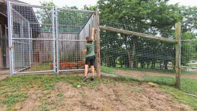 Lacey: Ten-four,
I'll let 'em out. - Secrets of the Zoo