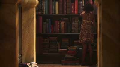 - [Ladder creaks] - The Bureau of Magical Things