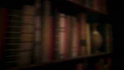 - [Ladder creaks] - The Bureau of Magical Things