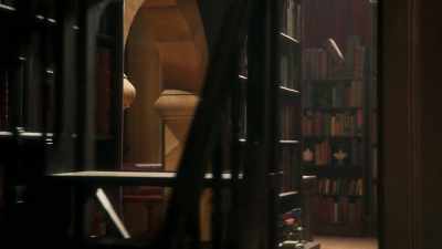 - [Ladder creaks] - The Bureau of Magical Things