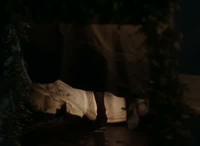 Ladies and gentlemen! - Gone with the Wind