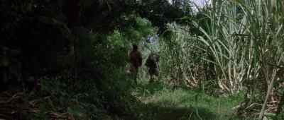 Lady, you are bad news. - Romancing the Stone