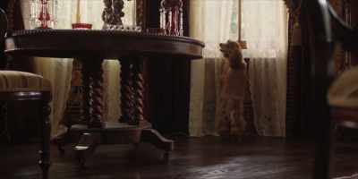 Lady! The baby is sleeping! - Lady and the Tramp