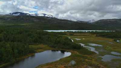 Lakes defrost
and rivers and streams flow again. - Wild Nordic