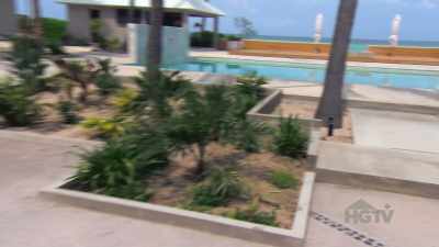 Landscaping, we had
a full shipment, - Island of Bryan