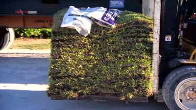 Landscaping is one of
those things where - Island of Bryan