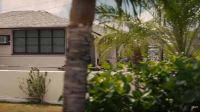 Lani's been
cooperating so far. - NCIS: Hawai'i