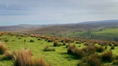 LAPWINGS CALL - Our Yorkshire Farm