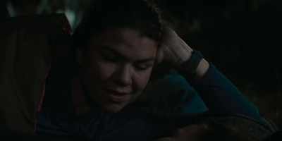 «Petit Ours.» - The Beehive