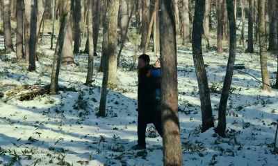 Larches have black bark.
Pine bark is red. - Evil Does Not Exist