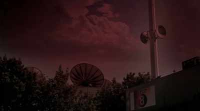 Large crowds have been seen
in bizarre gatherings - Amityville Uprising