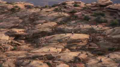 Large males might seem more attractive, - Prehistoric Planet